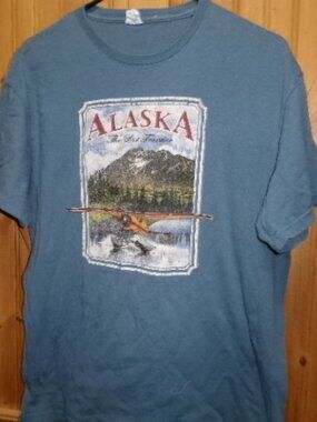 Vtg Alaska 90s graphic T shirt Sea Plane Delta blue mens lg